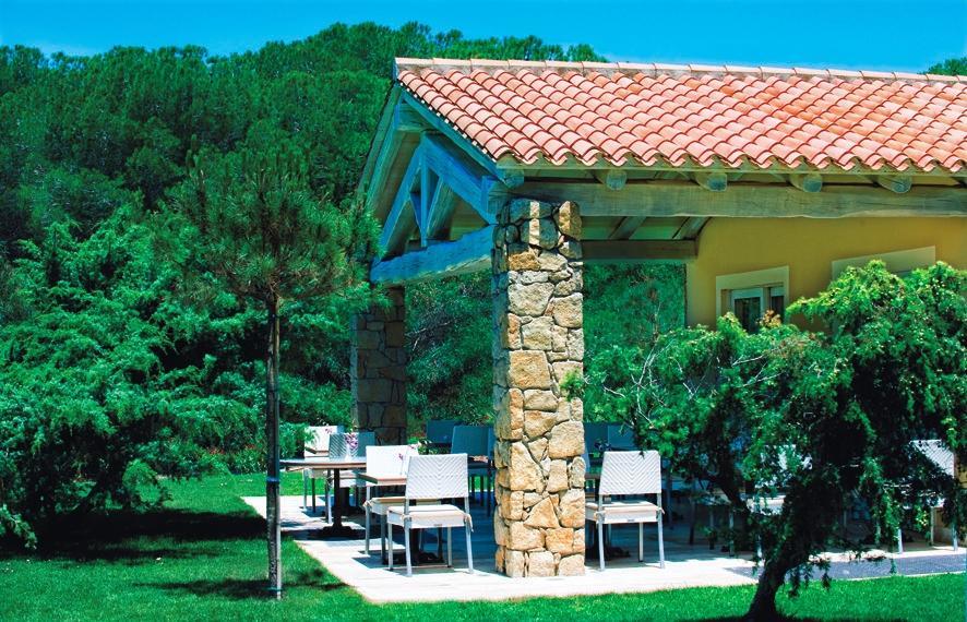 Is Arenas 5* Narbolia