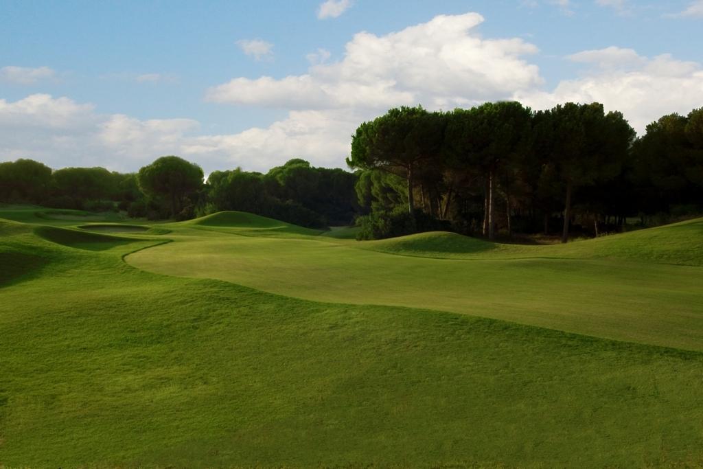 Is Arenas 5* Narbolia