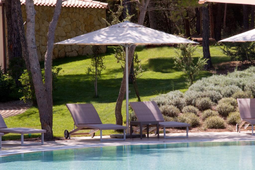 Is Arenas 5* Narbolia
